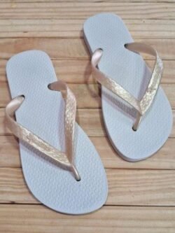 Chinela Ipanema Clássica